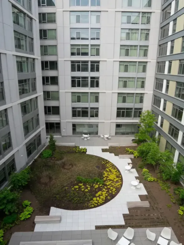 Finished courtyard garden with circular lawn seen from above