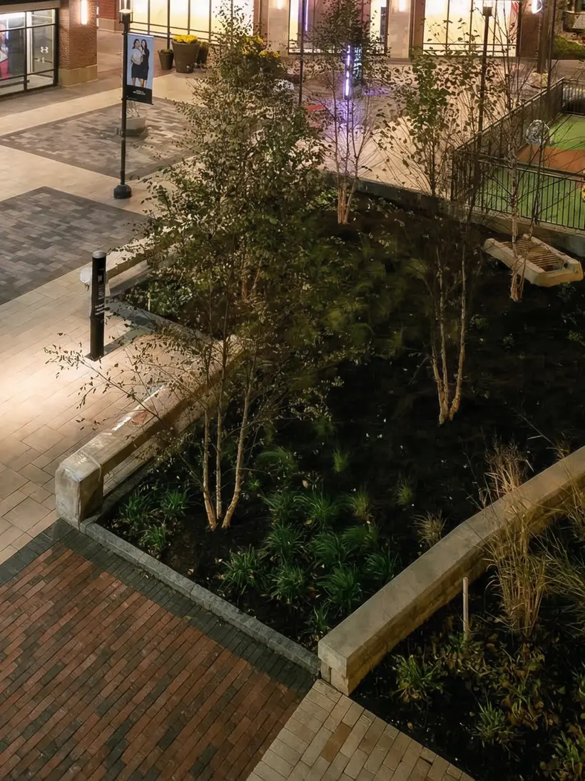 Plaza comercial de noche con árboles iluminados