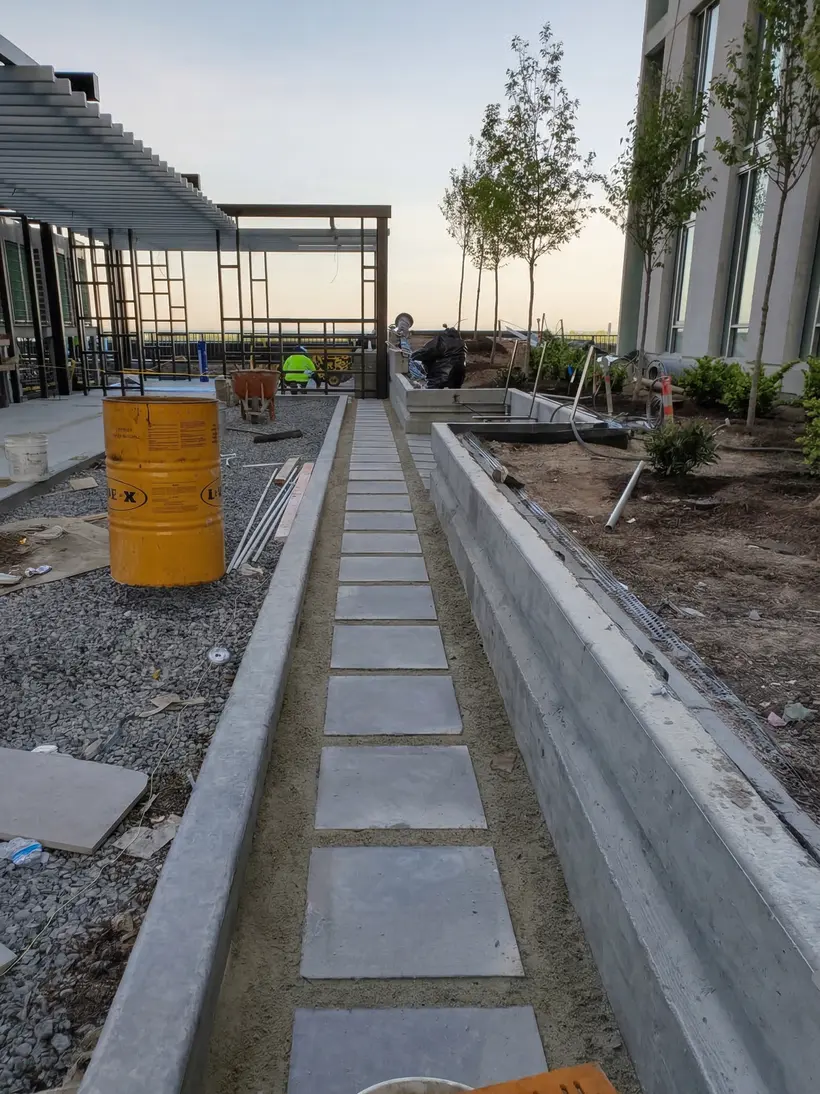 Terraza rooftop con pérgola y árboles jóvenes al atardecer
