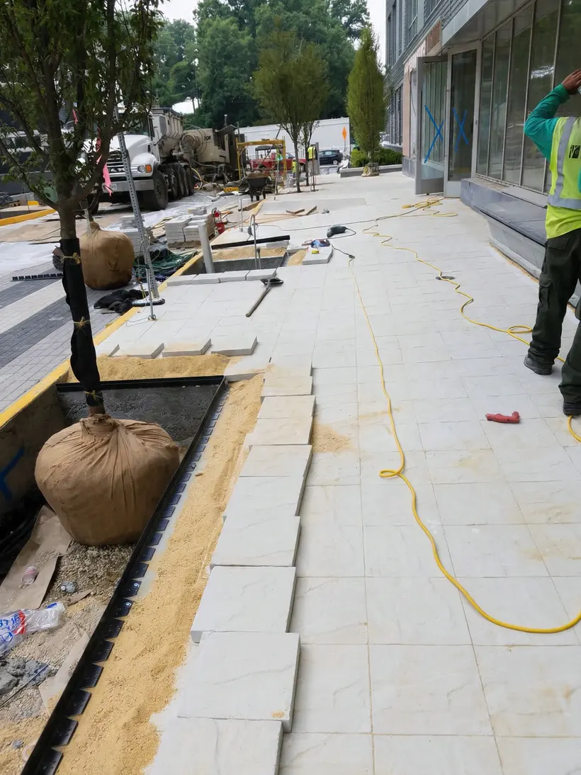 Cepellón listo para plantar en plaza