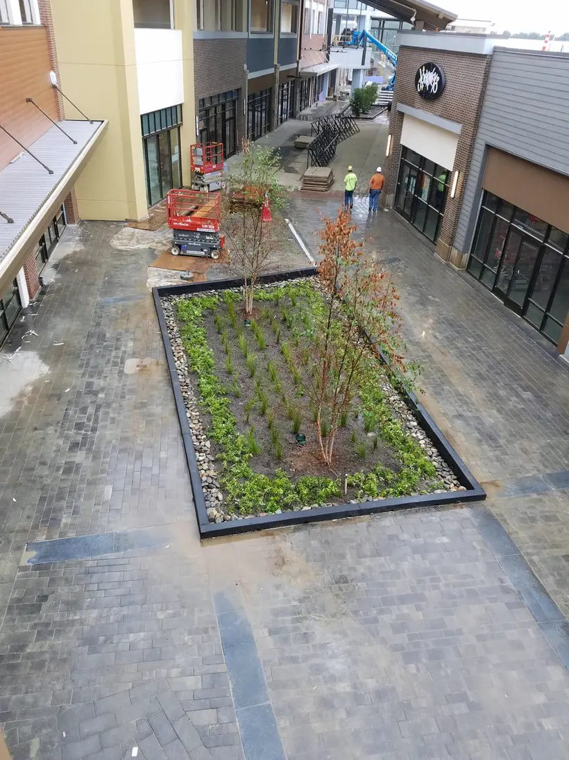 Cama jardinera plantada entre edificios