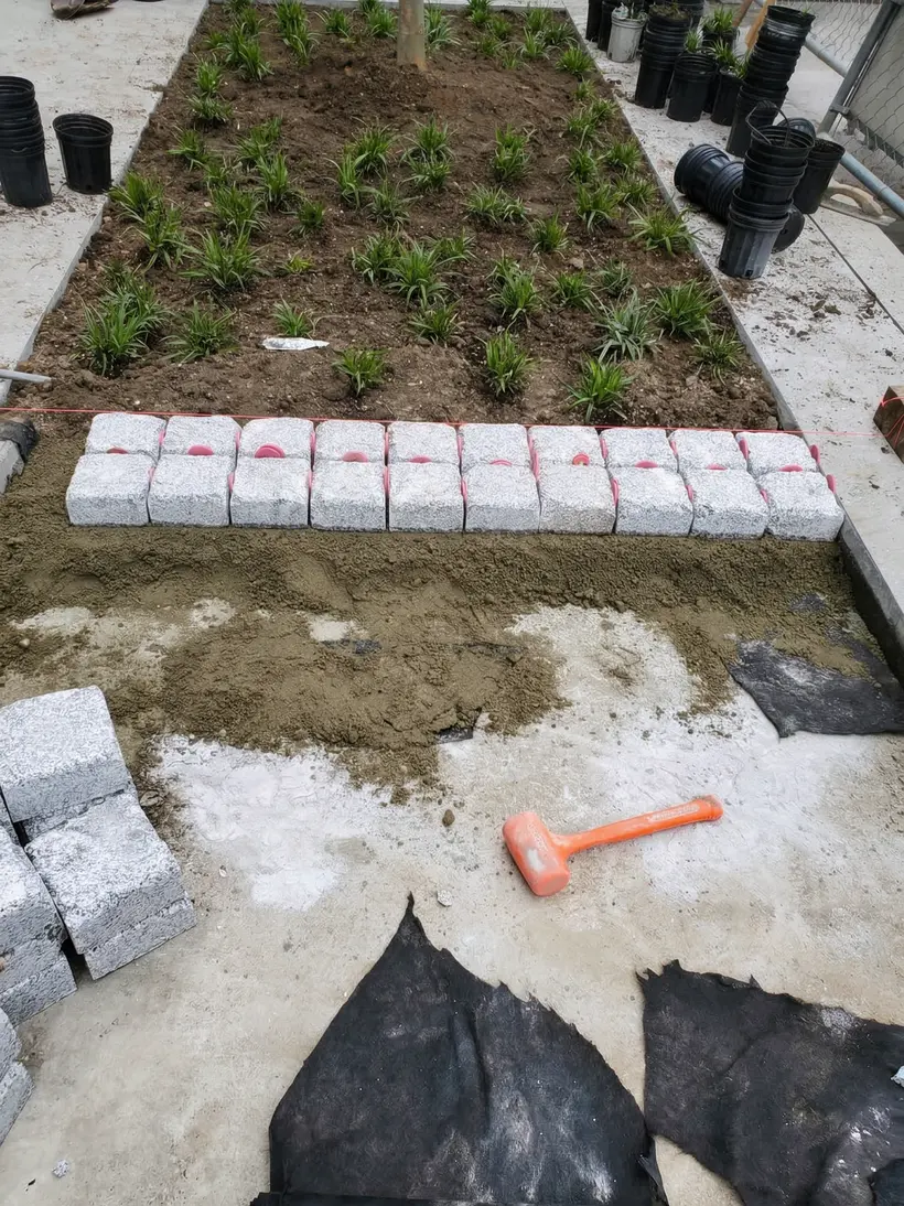 Camas de plantación con granito preparado